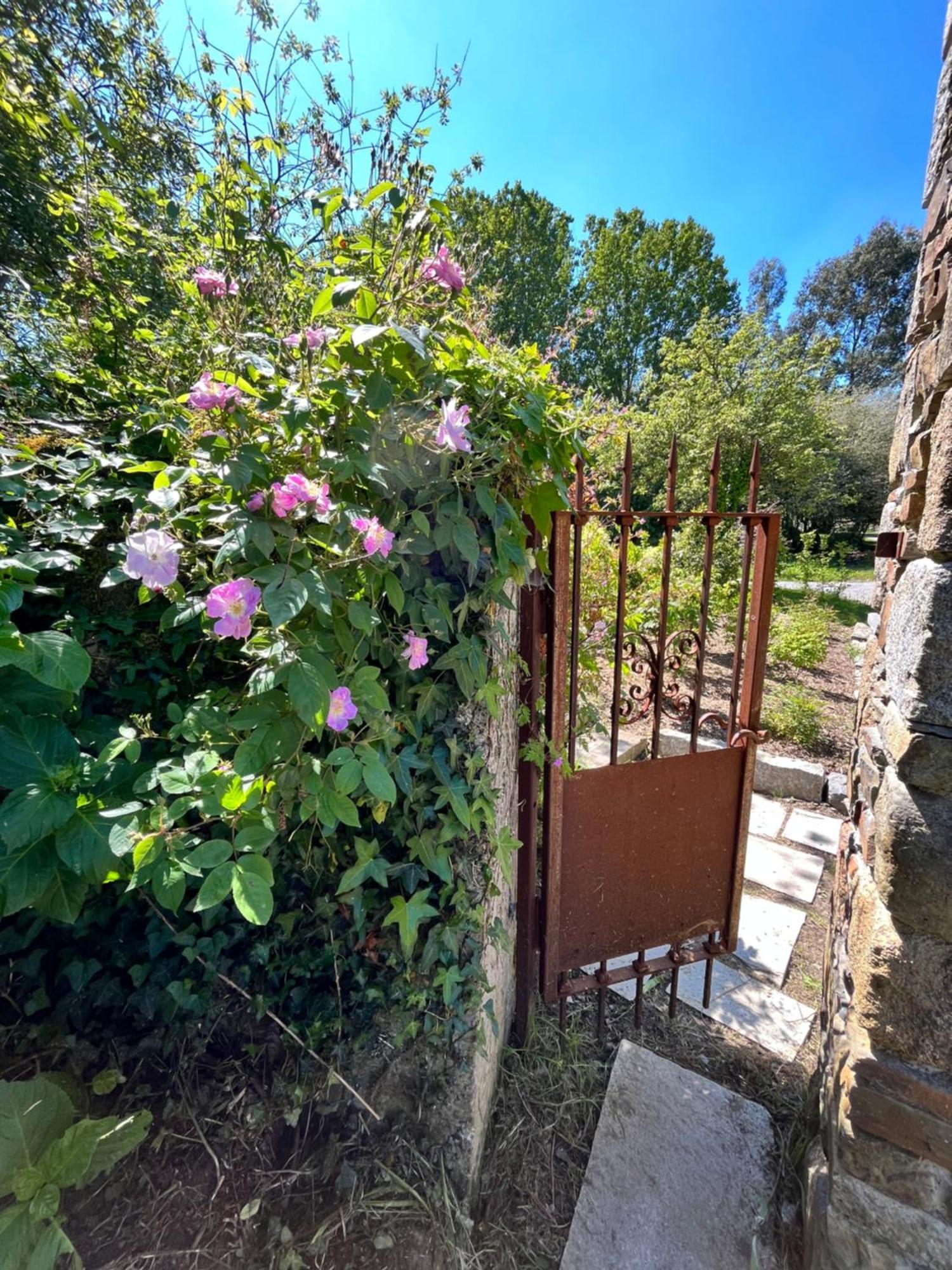 Domaine Du Tertre Ychot Hotel Dol-de-Bretagne Bagian luar foto