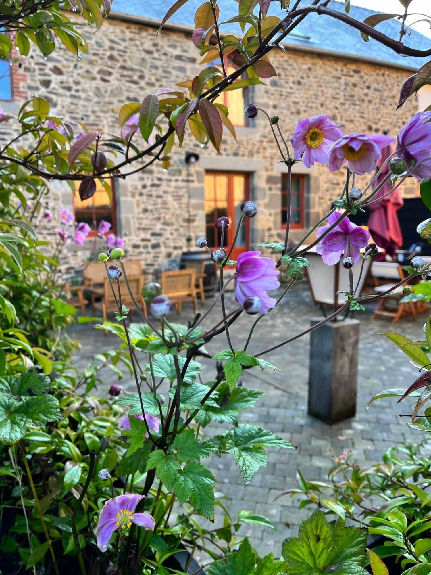 Domaine Du Tertre Ychot Hotel Dol-de-Bretagne Bagian luar foto